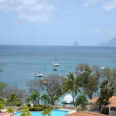 Palm'Studio Anse De Caritan Sainte-Anne Eksteriør billede