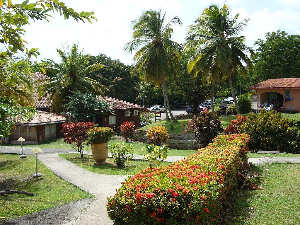 Palm'Studio Anse De Caritan Sainte-Anne Eksteriør billede