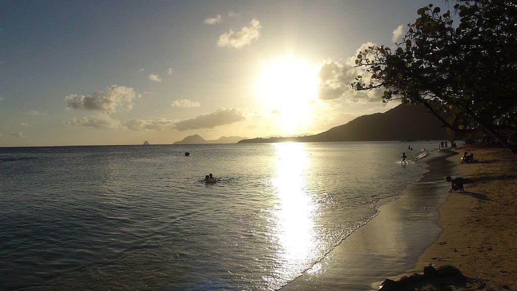 Palm'Studio Anse De Caritan Sainte-Anne Eksteriør billede