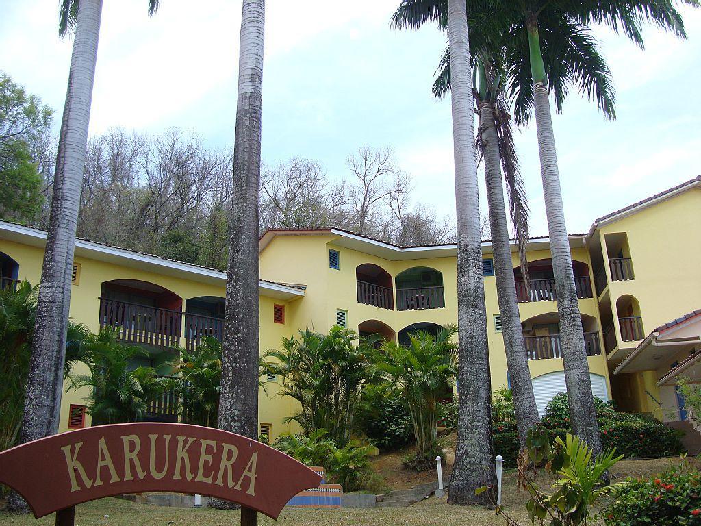 Palm'Studio Anse De Caritan Sainte-Anne Eksteriør billede