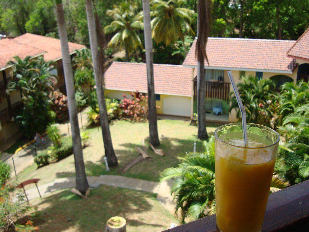 Palm'Studio Anse De Caritan Sainte-Anne Eksteriør billede